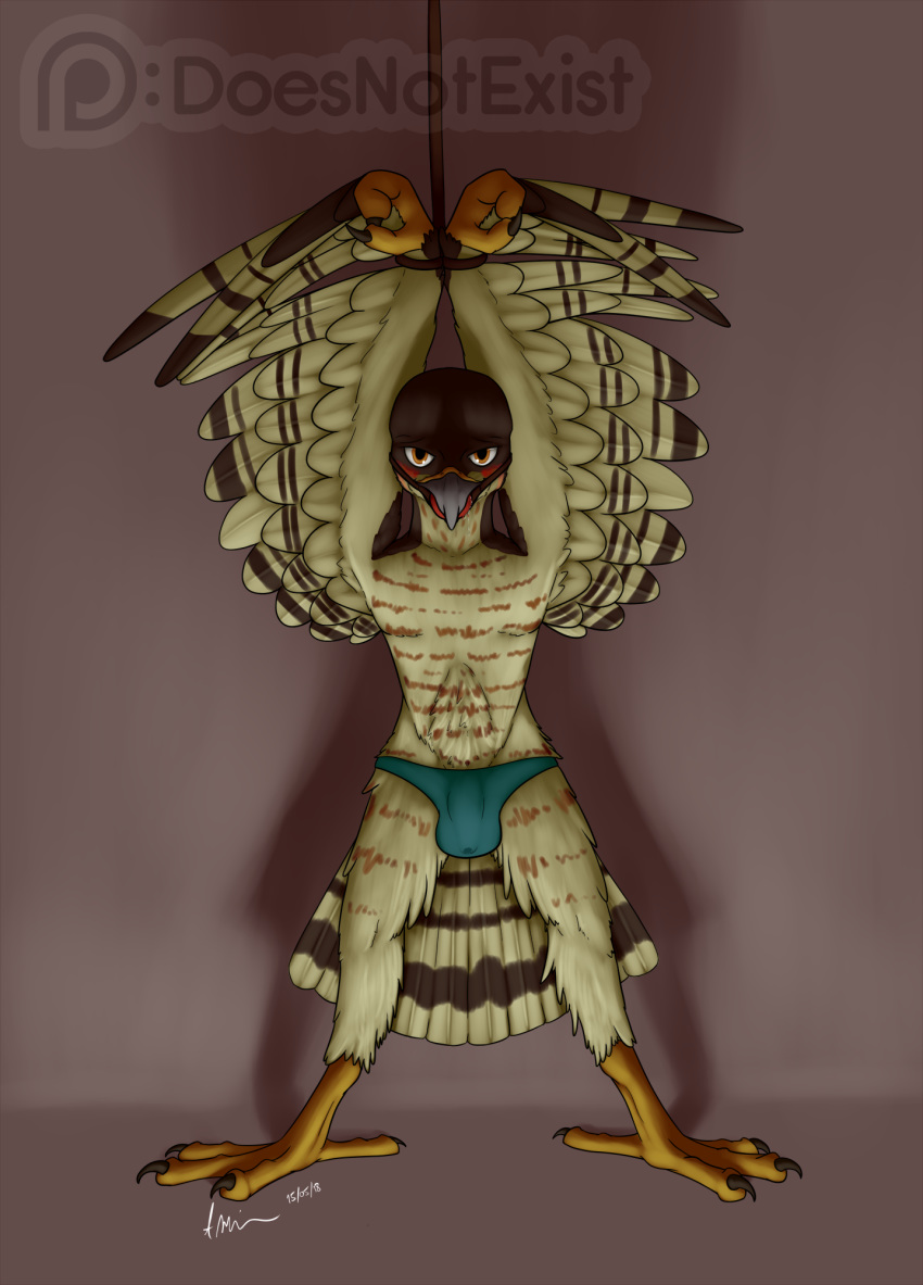 2018 2_fingers 4_toes anisodactyl anthro arms_above_head avian ball_gag bdsm bird blush bondage bound brown_feathers clothing digital_media_(artwork) drooling feathered_wings feathers gag hawk hi_res lief_woodcock looking_at_viewer male orange_eyes panties precum saliva signature solo sparrowhawk standing tan_feathers theandymac toes underwear wings