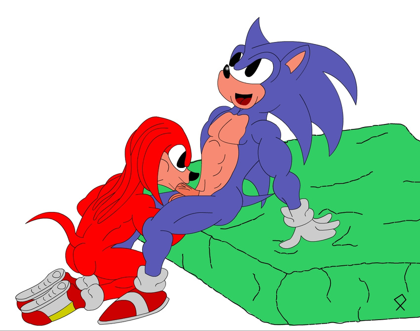 knuckles_the_echidna sonic_team sonic_the_hedgehog tagme