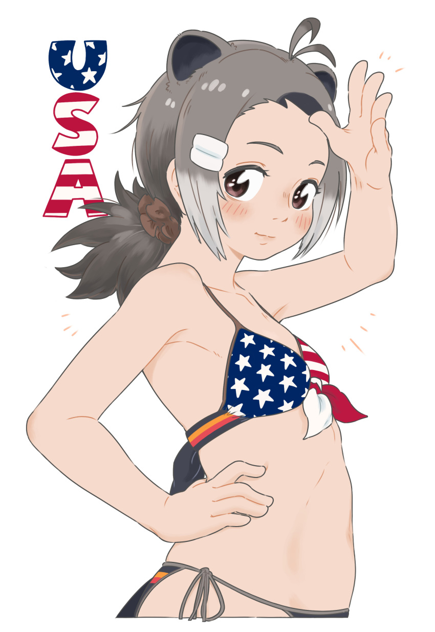 1girl absurdres american_beaver_(kemono_friends) american_flag american_flag_bikini american_flag_print animal_ears antenna_hair appleq arched_back arm_up armpits bare_arms bare_shoulders beaver_ears beaver_tail bikini black_hair blush breasts brown_eyes closed_mouth collarbone commentary_request extra_ears flag_print from_side front-tie_bikini front-tie_top grey_hair hair_ornament hair_scrunchie hairclip hand_on_hip highres kemono_friends light_smile long_hair looking_at_viewer looking_to_the_side multicolored_hair navel ponytail print_bikini print_swimsuit scrunchie side-tie_bikini side-tie_bottom sidelocks simple_background small_breasts solo stomach swimsuit tail upper_body white_background