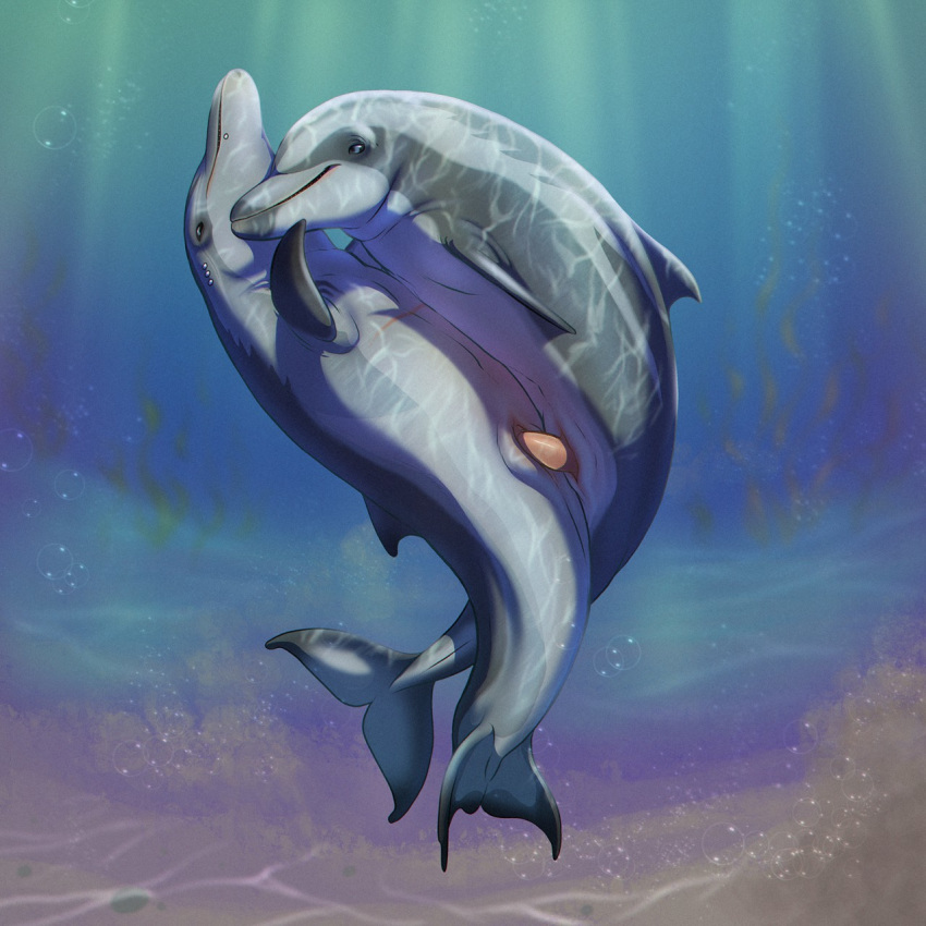 2018 call_(artist) cetacean dolphin duo erection female feral feral_on_feral male male/female mammal marine nude penetration penis pussy sex underwater vaginal vaginal_penetration water