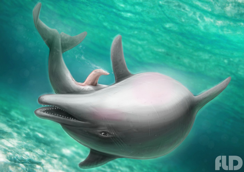 anatomically_correct animal_genitalia animal_penis anus bottlenose_dolphin cetacean cetacean_penis cum cumshot dolphin ejaculation erection feral fld genital_slit male mammal marine orgasm penis realistic sea slit solo tapering_penis underwater water