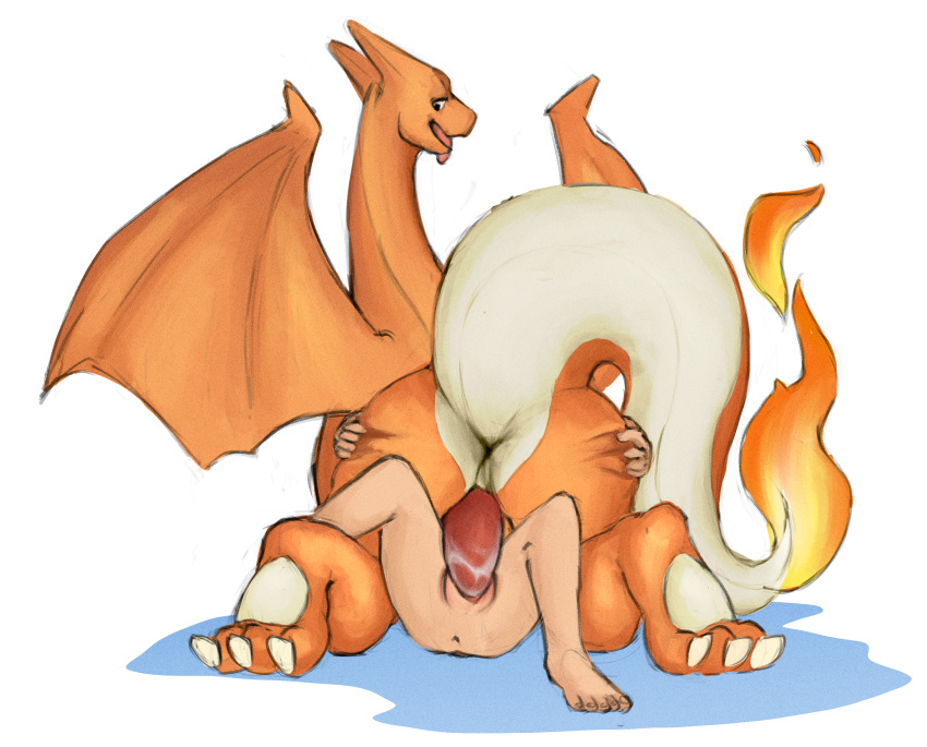 bestiality charizard dragon erection female female_on_feral feral human human_on_feral interspecies male male/female mammal nintendo penetration penis pok&eacute;mon pok&eacute;mon_(species) pok&eacute;philia redponei sex size_difference video_games