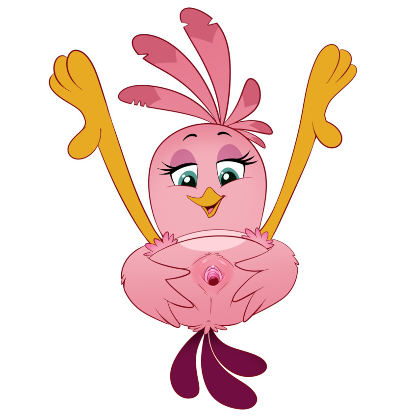 2019 angry_birds avian beak bird blue_eyes feathers female half-closed_eyes lonbluewolf open_mouth pink_feathers presenting presenting_pussy pussy simple_background solo stella_(angry_birds) tongue video_games white_background