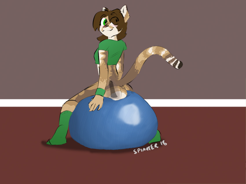 2018 anthro blush butt cat clothed clothing digital_media_(artwork) dildo exercise_ball feline female fur hair helia_peppercats_(wrinklynewt) legwear looking_at_viewer mammal masturbation sex_toy simple_background socks solo spinater