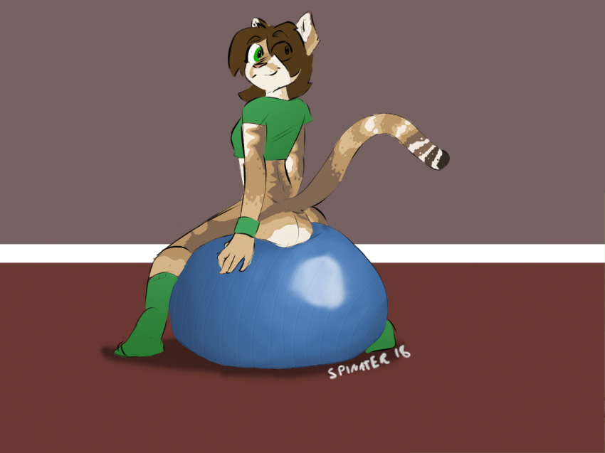 2018 anthro butt cat clothed clothing digital_media_(artwork) exercise_ball feline female helia_peppercats_(wrinklynewt) invalid_tag legwear looking_at_viewer mammal simple_background socks solo spinater