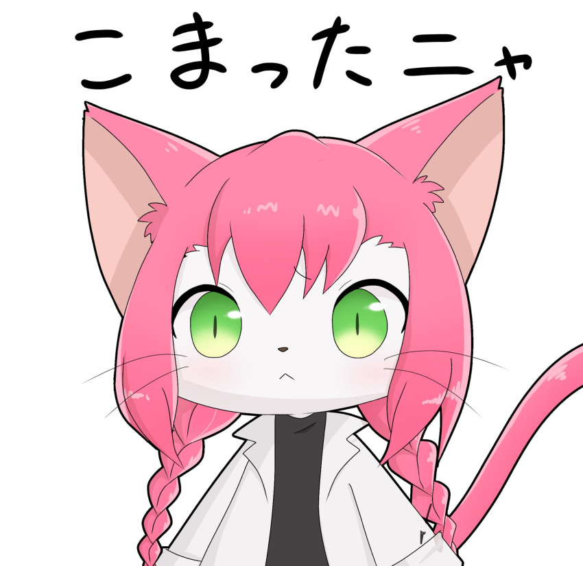 1girl artist_request cat cat_busters furry green_eyes long_hair pink_hair solo