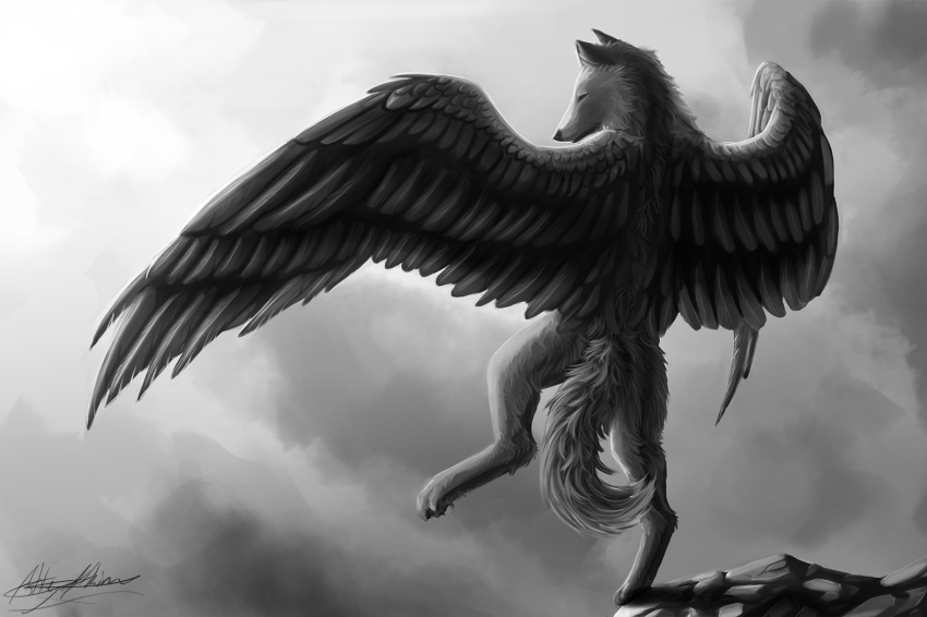anthro ashesdrawn black_feathers black_fur canine day digital_media_(artwork) feathered_wings feathers fur greyscale hybrid mammal monochrome nude outside solo wings wolf