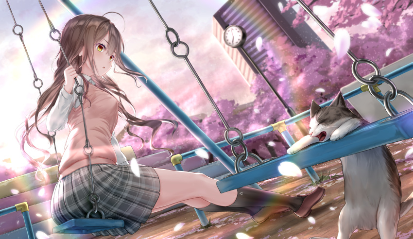 ahoge animal bangs black_legwear blush brown_eyes brown_hair building cat cherry_blossoms commentary_request day eyebrows_visible_through_hair highres kachayori kneehighs loafers long_hair long_sleeves open_mouth original outdoors petals plaid plaid_skirt playground pleated_skirt school_uniform shirt shoes sitting skirt solo sweater_vest swing swing_set tree wavy_hair white_shirt
