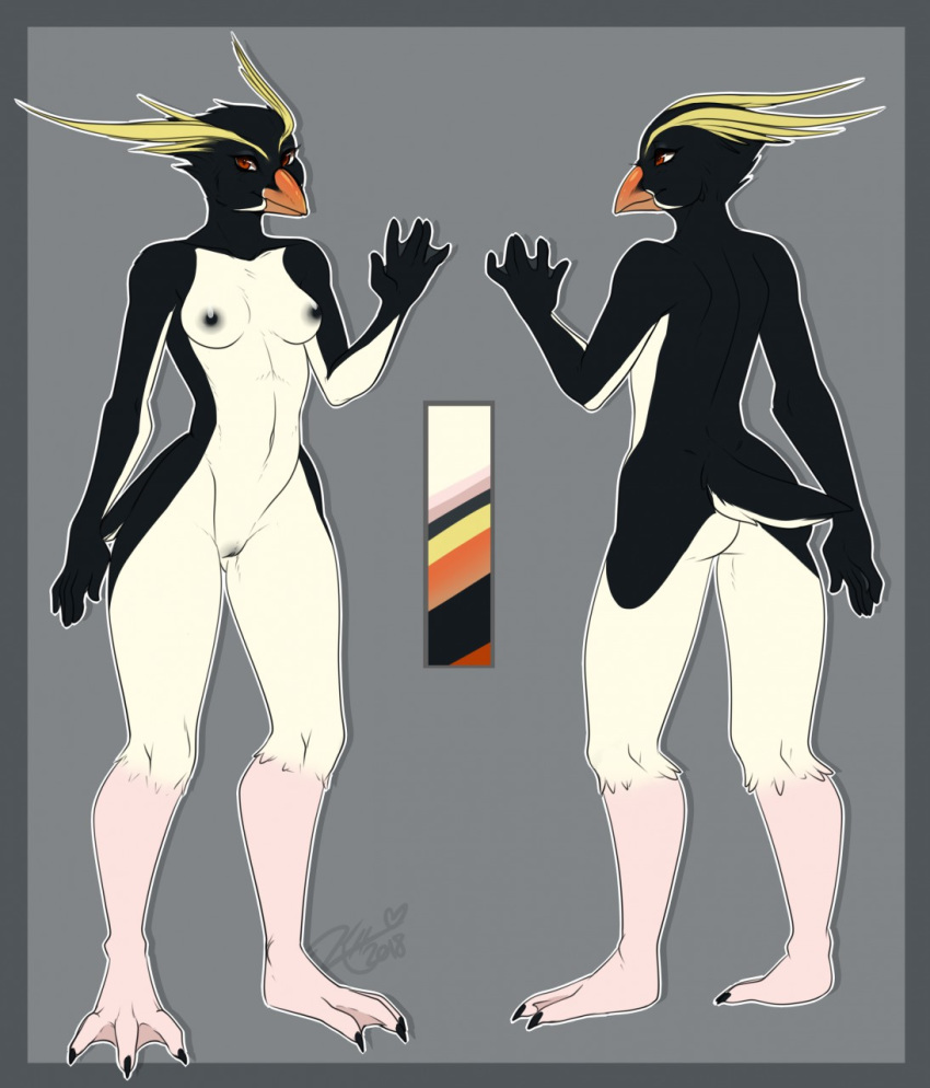 anthro avian beak bird black_feathers black_nipples black_pussy breasts crested_penguin feathers female hiddenwolf model_sheet nipples non-mammal_breasts nude penguin pussy rockhopper_penguin solo webbed_feet webbed_hands white_feathers