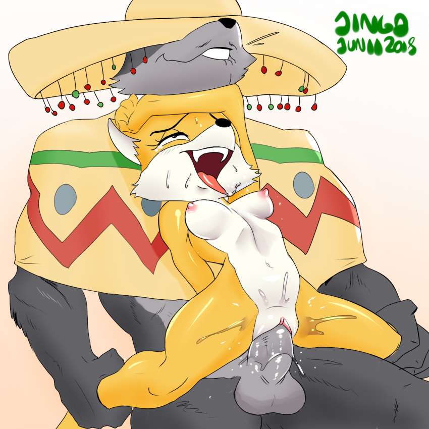 2018 ahegao anthro blush breasts canine captainjingo clothing digital_media_(artwork) duo female fox fur grey_fur hat hi_res looking_pleasured lt._fox_vixen male male/female mammal navel nipples nude open_mouth poncho pussy_juice sek_studios seungnyangi sex simple_background smile sombrero spread_legs spreading squirrel_and_hedgehog sweat tears tongue tongue_out vaginal white_background wolf yellow_fur