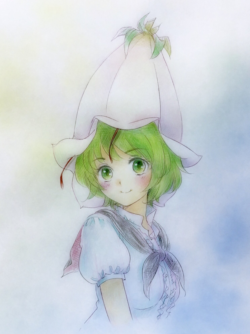 antennae bangs black_cape blush cape center_frills closed_mouth collared_shirt commentary_request eyebrows_visible_through_hair flower_hat green_eyes green_hair hat highres looking_at_viewer puffy_short_sleeves puffy_sleeves q-bee_(aaru) shirt short_cape short_sleeves smile solo touhou traditional_media upper_body white_hat white_shirt wriggle_nightbug