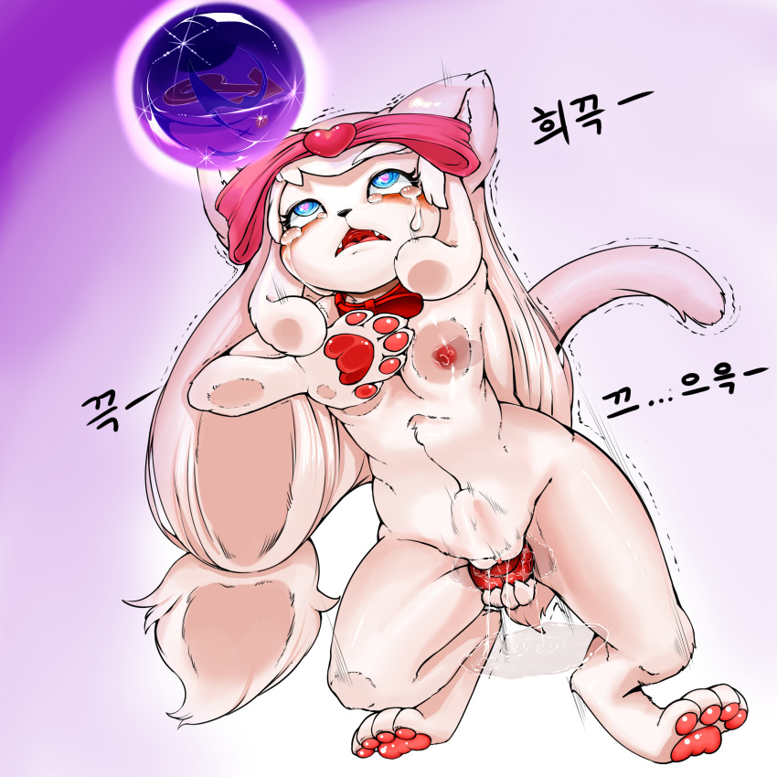 abdominal_bulge ahegao anthro blue_eyes blush bow breasts cat collar cub cute_fangs dildo feline female flat_chested fur hair hypnosis korean_text long_hair looking_pleasured mammal masturbation mind_control nipples open_mouth orgasm pawpads penetration puddle pussy pussy_juice rapel ribbons sex_toy shaking shivering small_breasts solo tears text vaginal vaginal_penetration vibrator white_fur young