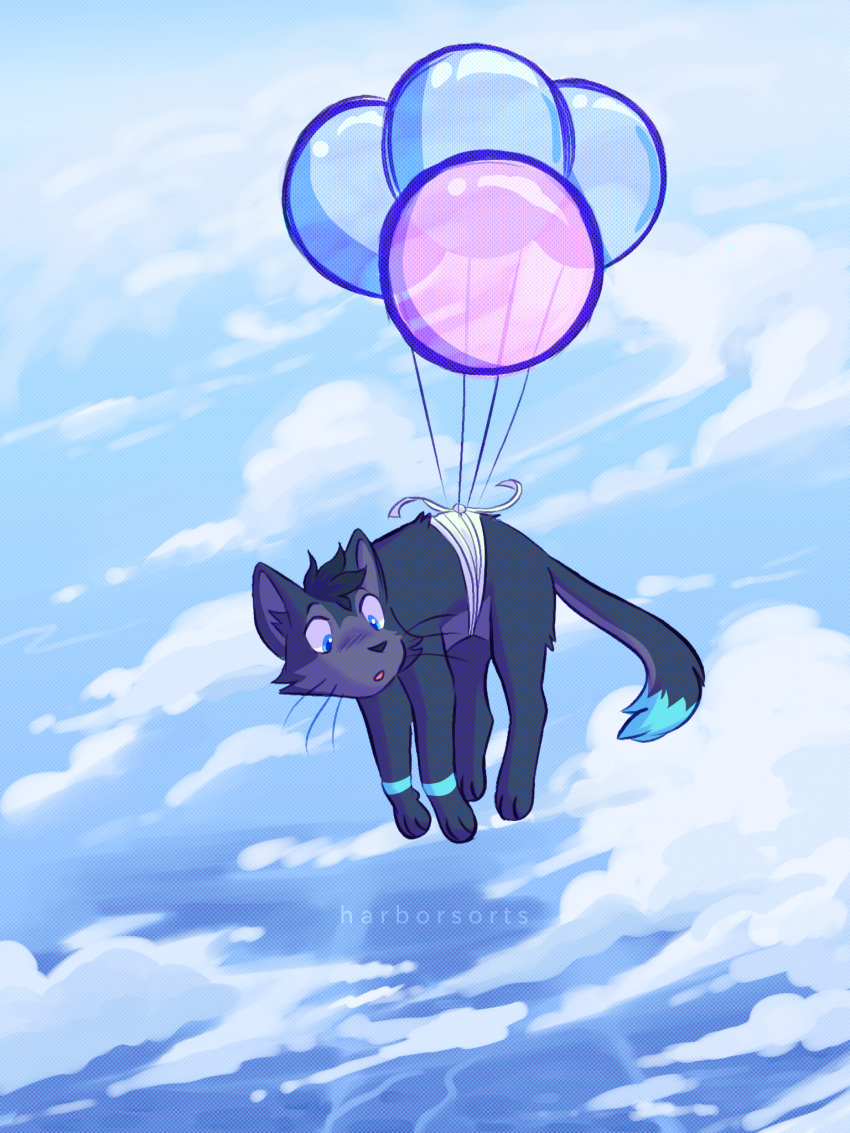 2018 alternate balloon black_hair black_nose blue_eyes burlington cat cloud day detailed_background digital_media_(artwork) edit feline feral fur grey_fur grey_hair hair harborsorts hi_res male mammal open_mouth outside sky solo