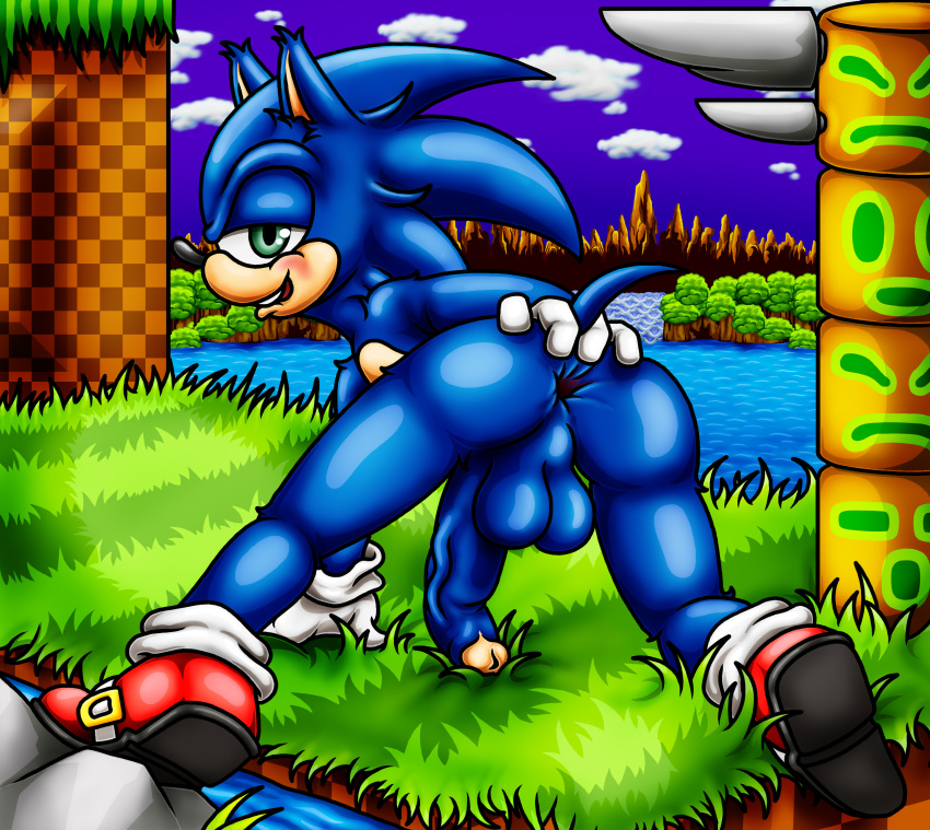 absurd_res anus balls biting_lip blue_fur blush buckle butt clothing footwear forest fur gloves grass green_eyes happyanthro hi_res legwear long_penis male mountain multicolored_fur penis presenting presenting_hindquarters rock shoes socks solo sonic_(series) sonic_the_hedgehog tan_fur totem_pole tree two_tone_fur water