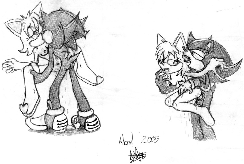rouge_the_bat shadow_the_hedgehog sonic_team tagme