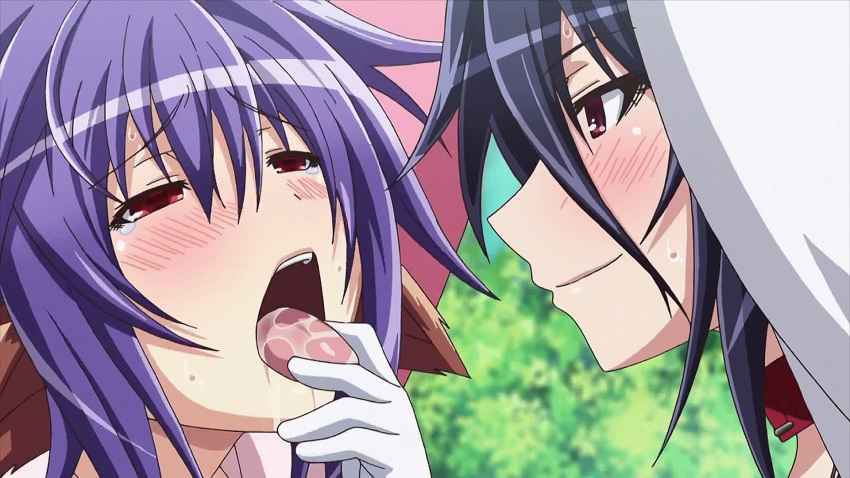 2girls animal_ears animated animated_gif blue_hair blush drooling french_kiss heavy_breathing hizuki_ayana hizuki_touko hoods_entertainment kagaku_na_yatsura kaneko_hiraku kissing open_mouth purple_hair red_eyes saliva sweat tears tongue tongue_out twitching