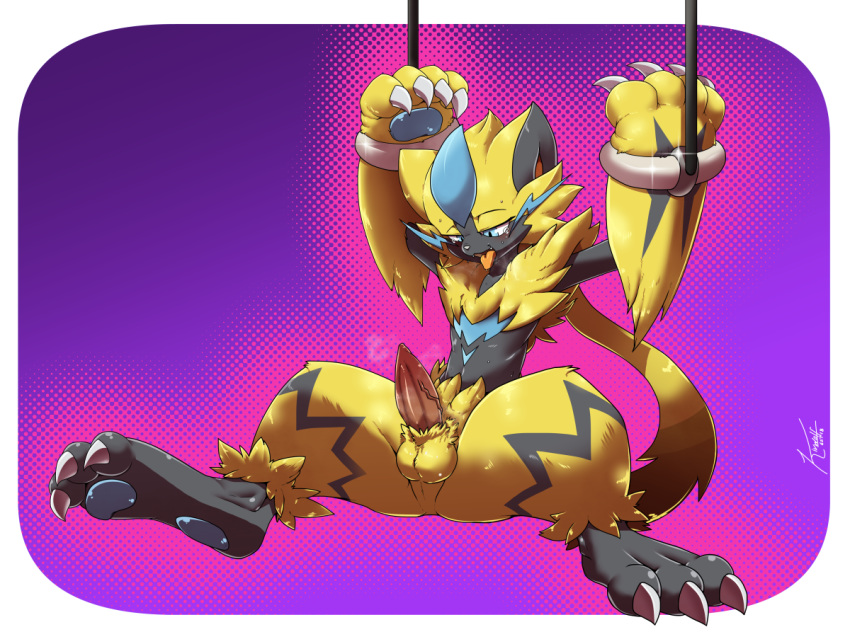 2018 anthro balls bdsm blue_eyes blue_pawpads bondage bound claws erection fangs feline fur kivwolf looking_pleasured male mammal nintendo nude open_mouth pawpads penis pok&eacute;mon pok&eacute;mon_(species) raised_arm solo spread_legs spreading tongue tongue_out video_games yellow_fur zeraora