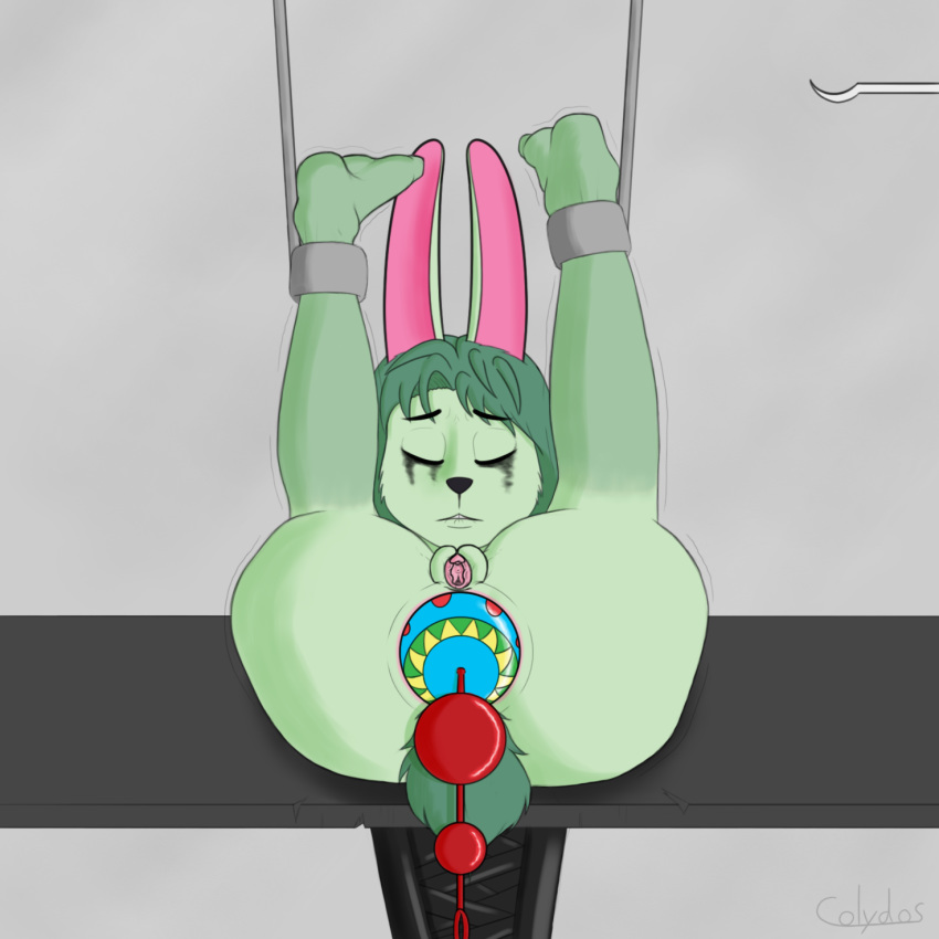 2018 anal anal_beads ankle_cuffs anthro anus armbinder barefoot bdsm biting_lip bondage bondage_gear bound butt colydos eyes_closed female fur green_fur grey_background hook lagomorph long_ears looking_at_viewer lying mammal minty_(colydos) nude on_back pink_anus presenting presenting_anus presenting_hindquarters presenting_pussy pussy rabbit red_eyes ruined_makeup running_eyeliner running_makeup sex_toy shackles shaking signature simple_background solo table