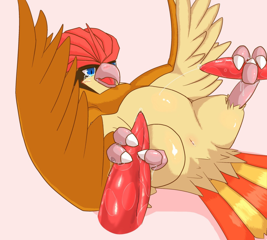 3_toes ambiguous_gender animal_genitalia avian beak bird claws cloaca digital_drawing_(artwork) digital_media_(artwork) disembodied_penis double_footjob edit feet feral foot_fetish footjob group group_sex hi_res hind_toe male male/ambiguous nintendo penis pidgeotto pok&eacute;mon pok&eacute;mon_(species) sex talonjob talons tapering_penis toe_claws toes tya. video_games