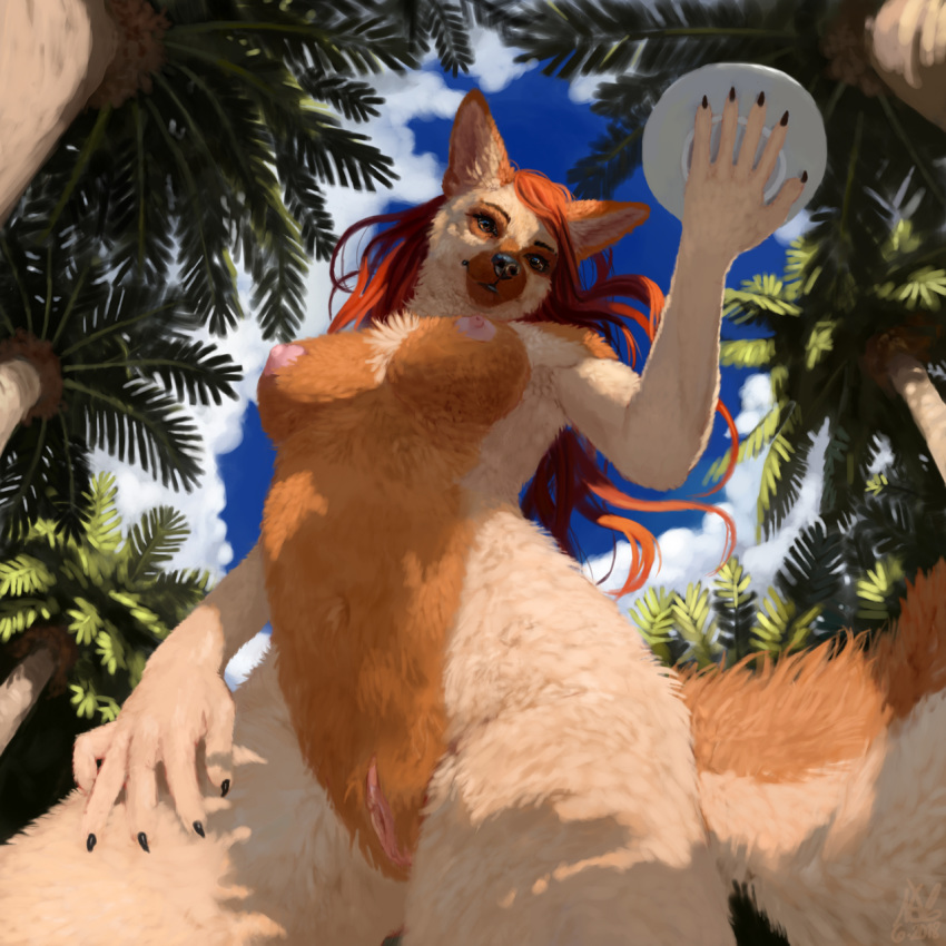 2018 amber_eyes breasts canine claws dog female forest fur german_shepherd hair hera jungle looking_at_viewer looking_down low-angle_view mammal nipples notdonebaking nude orange_fur palm_trees plate pussy red_hair solo tan_fur tree worm's-eye_view