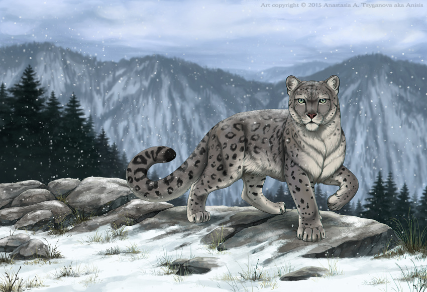 2015 ambiguous_gender anisis day detailed_background feline fur green_eyes grey_fur leopard mammal outside sky snow spots spotted_fur whiskers