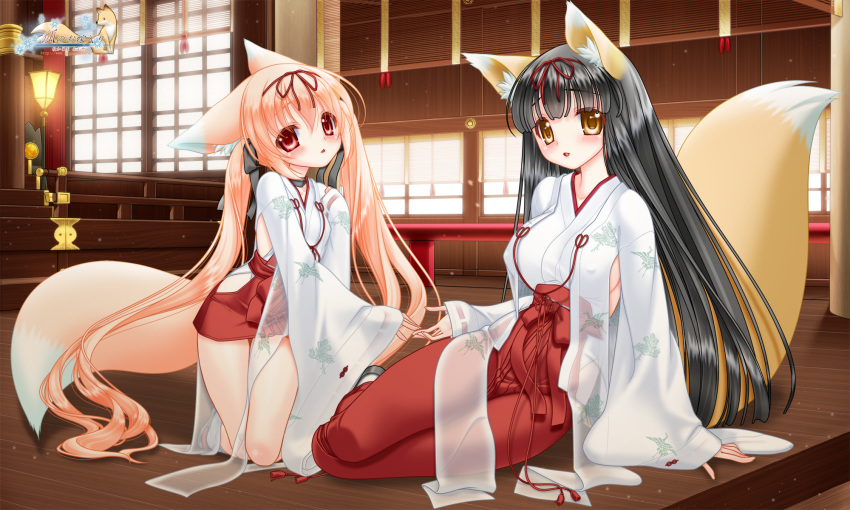 2girls animal_ears black_hair blonde_hair breasts erect_nipples foxgirl japanese_clothes logo loli long_hair miko nakajima_konta red_eyes rikka_(snow_fox) setuka sideboob snow_fox tail twintails yellow_eyes