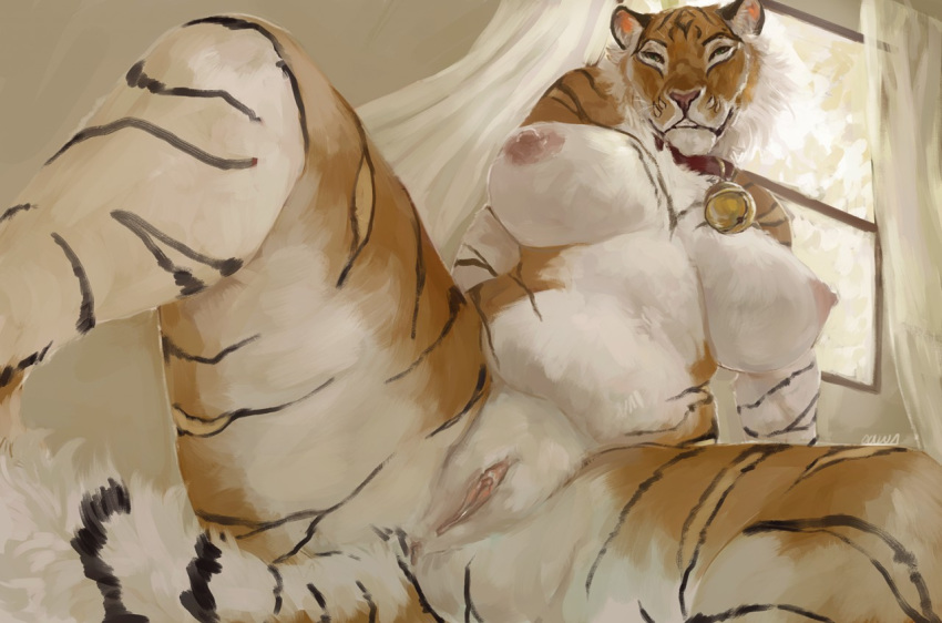 anthro anus bell_collar big_breasts breasts clitoris collar feline female looking_at_viewer mammal nipples nude oouna pussy solo spread_legs spreading tiger uchoa voluptuous whiskers