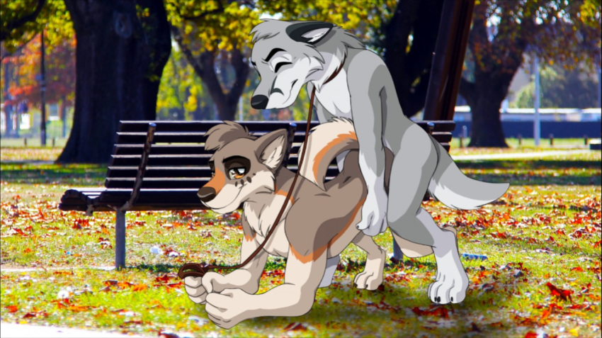 anthro bank canine chaine_redfield cute domination duo exhibitionism eyes_closed from_behind_position happy kemonowolf love male male/male male_penetrating mammal nude outside park public royal-pain-in-the-ass sex together tree walking