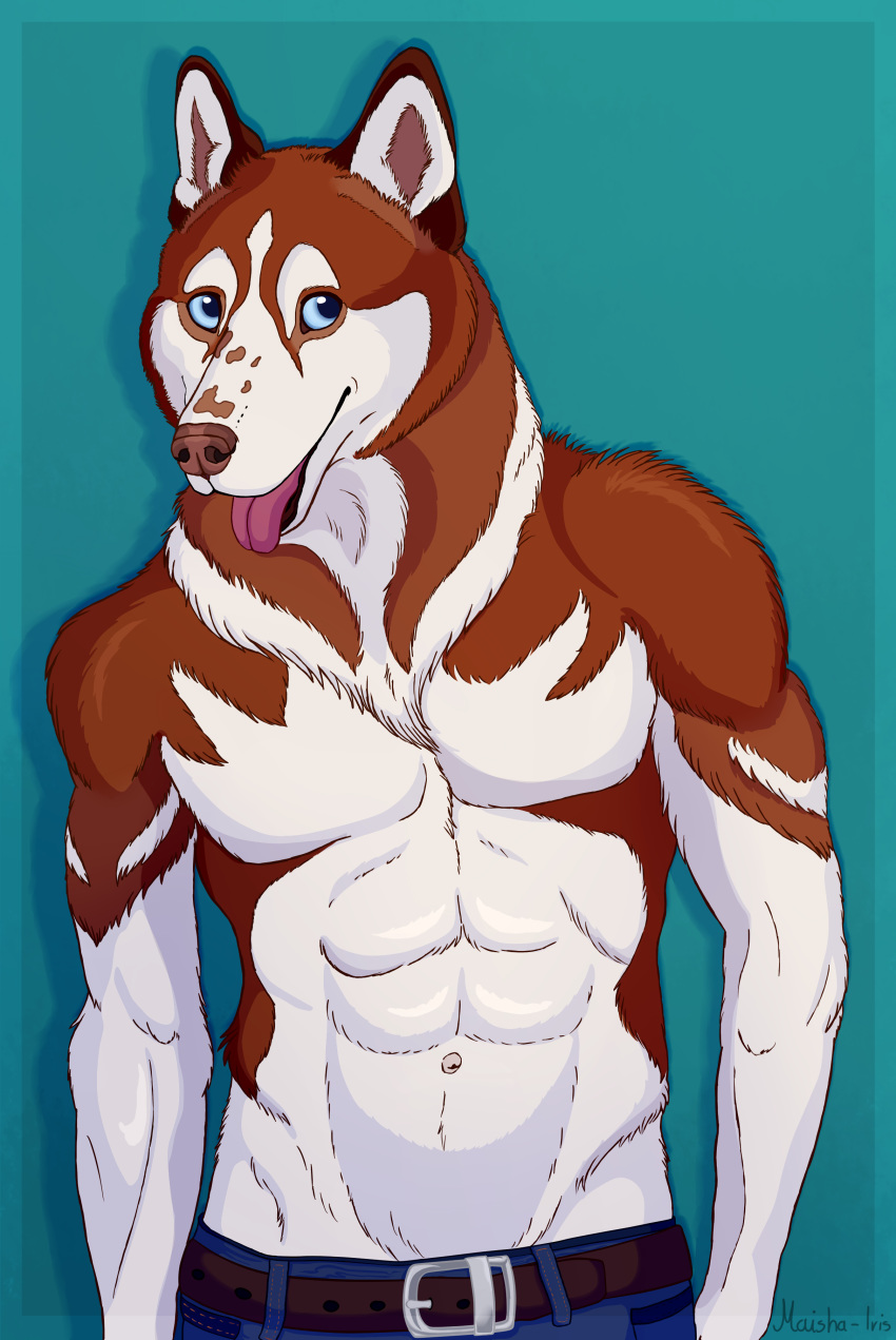 absurd_res anthro belt blue_eyes brown_fur canine clothed clothing dog fur hi_res husky invalid_tag jeans male mammal markings muscular muscular_male pants pink_nose predaciouspiranha simple_background solo standing tongue tongue_out topless white_markings
