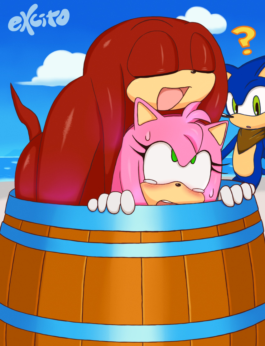 ambiguous_penetration amy_rose anthro bandanna barrel beach blush echidna excito eyes_closed female hedgehog knuckles_the_echidna male male/female mammal monotreme mostly_nude nude oblivious penetration seaside sex size_difference sonic_(series) sonic_the_hedgehog stealth_sex wide_eyed