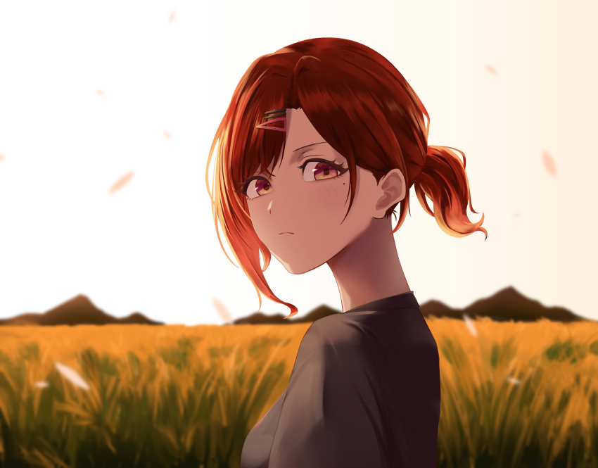 1girl absurdres brown_eyes closed_mouth evening eyelashes field from_side hair_ornament hairclip highres higuchi_madoka idolmaster idolmaster_shiny_colors looking_at_viewer mole mole_under_eye outdoors painapo petals ponytail red_hair sky solo upper_body white_sky