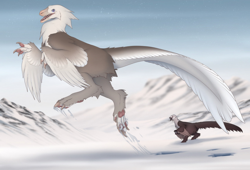 2022 3_fingers 4_toes action_pose ambiguous_gender blue_eyes blue_sclera brown_body brown_claws brown_feathers cheek_tuft claws countershading deepdarkfantasies digital_media_(artwork) digital_painting_(artwork) digitigrade dinosaur dromaeosaurid duo facial_tuft feathered_dinosaur feathered_tail feathered_wings feathers feet female_(lore) feral fingers fluffy footprint jumping male_(lore) open_mouth outside pawpads pawprint pose reptile scalie snow solo_focus soran_(ddf) tail teeth theo_(ddf) theropod toes tongue tuft white_body white_feathers winged_arms wings