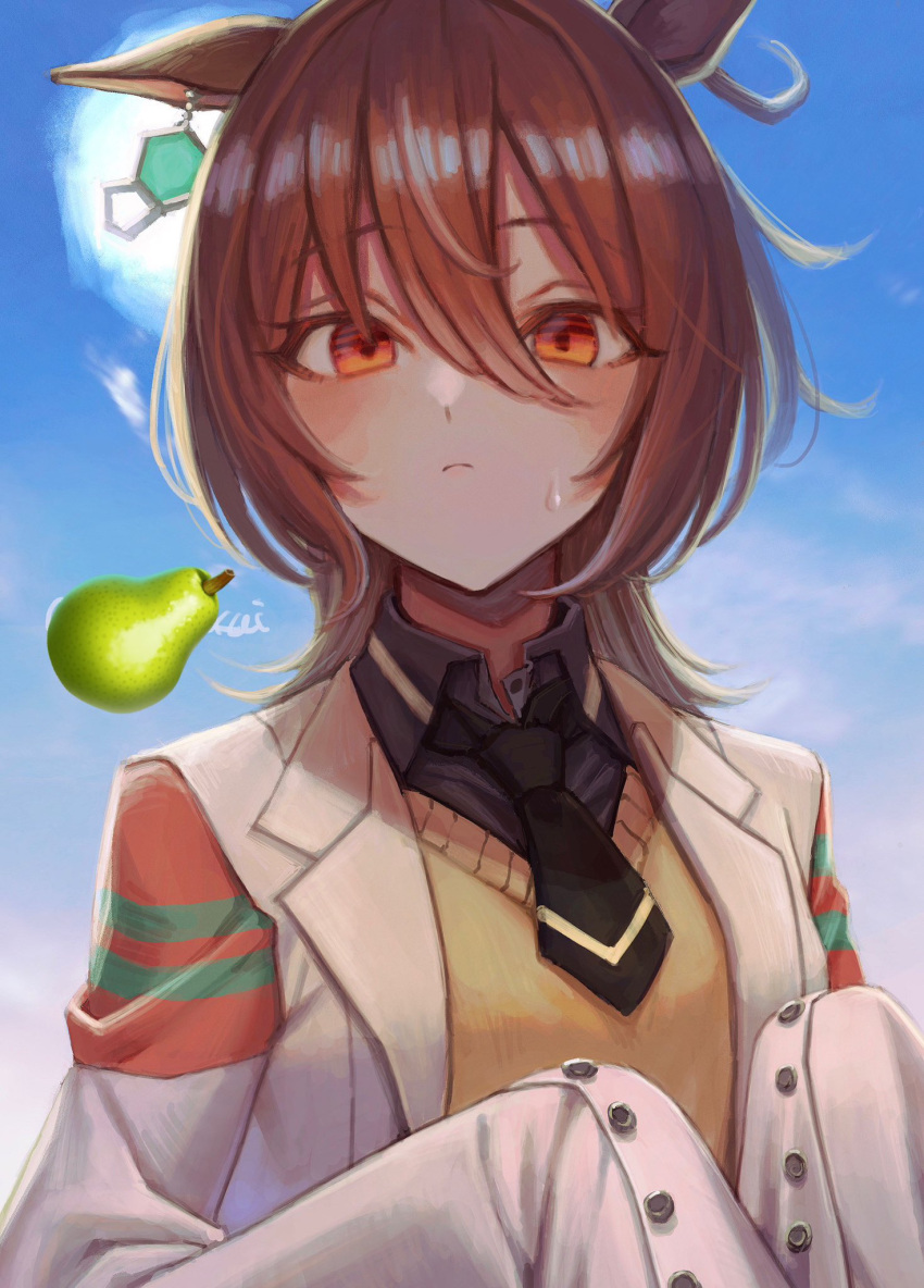 1girl agnes_tachyon_(umamusume) animal_ears black_necktie blue_shirt breasts brown_hair collared_shirt day earrings food fruit hair_between_eyes hands_up highres horse_ears jewelry lab_coat looking_at_viewer makai_(67makai) medium_hair necktie outdoors pear red_eyes shirt short_necktie single_earring skis sleeves_past_fingers sleeves_past_wrists small_breasts solo sweatdrop sweater umamusume upper_body yellow_sweater