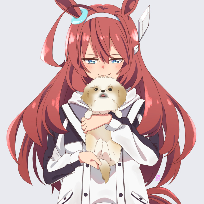 1girl ahoge animal animal_ears blue_eyes blush brown_hair dog grey_hairband hair_between_eyes hair_ornament hairband highres holding holding_animal holding_dog horse_ears horse_girl horse_tail huge_ahoge jacket long_hair long_sleeves looking_down mihono_bourbon_(umamusume) miyahara_takuya smile solo tail umamusume