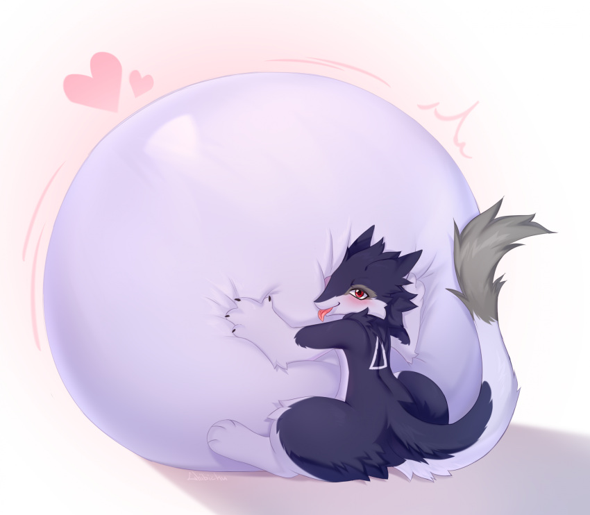 anthro belly belly_inflation blep blush chibichuuwu hi_res hugging_belly inflated_belly inflation inflation_fetish male overinflated sergal solo tongue tongue_out