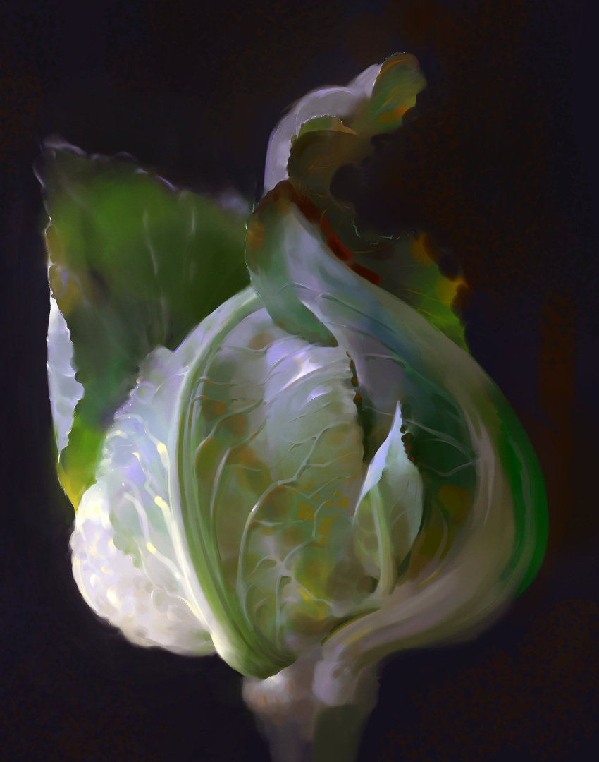 absurdres black_background cabbage chiaroscuro faux_traditional_media food food_focus highres leaf no_humans original realistic simple_background still_life vegetable veins yuming_li