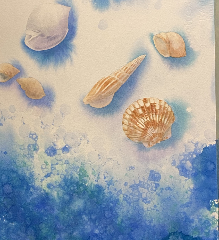 blue_background highres no_humans object_focus original painting_(medium) realistic seashell shell still_life traditional_media watercolor_(medium) yu_grassbird