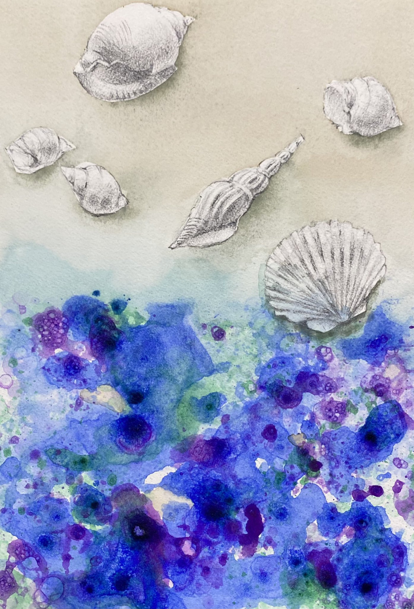 blue_background highres no_humans object_focus original painting_(medium) realistic seashell shell still_life traditional_media watercolor_(medium) yu_grassbird