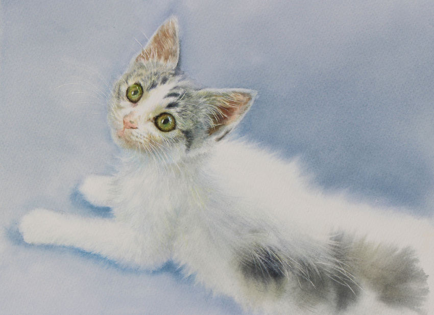 animal blue_eyes cat kitten looking_at_viewer no_humans original painting_(medium) realistic still_life traditional_media watercolor_(medium) yu_grassbird