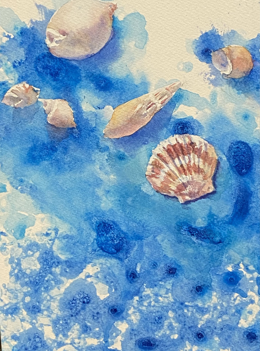 blue_background highres no_humans object_focus original painting_(medium) realistic seashell shell still_life traditional_media watercolor_(medium) yu_grassbird