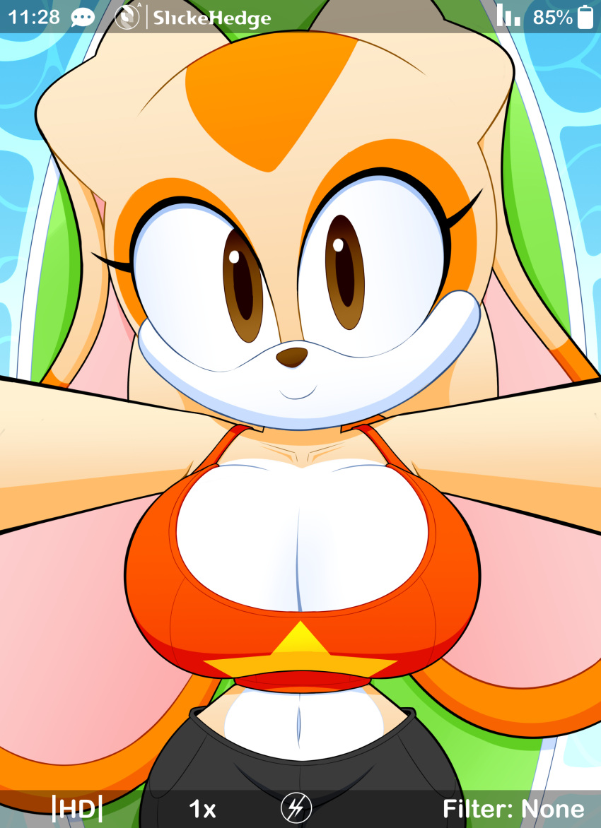 absurd_res aged_up anthro big_breasts bottomwear breasts camera_hud cleavage clothed clothing cream_the_rabbit female hi_res lagomorph leporid lying mammal midriff on_back rabbit sega selfie shirt shorts slickehedge solo sonic_the_hedgehog_(series) swimming_pool tank_top topwear