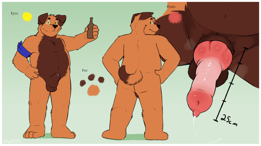 alcohol animal_genitalia animal_penis anthro beer beverage canid canine_genitalia canine_penis comparing genitals hi_res knot male mammal model_sheet nude onykr penis pinup pose presenting sheath solo tom_(onykr)