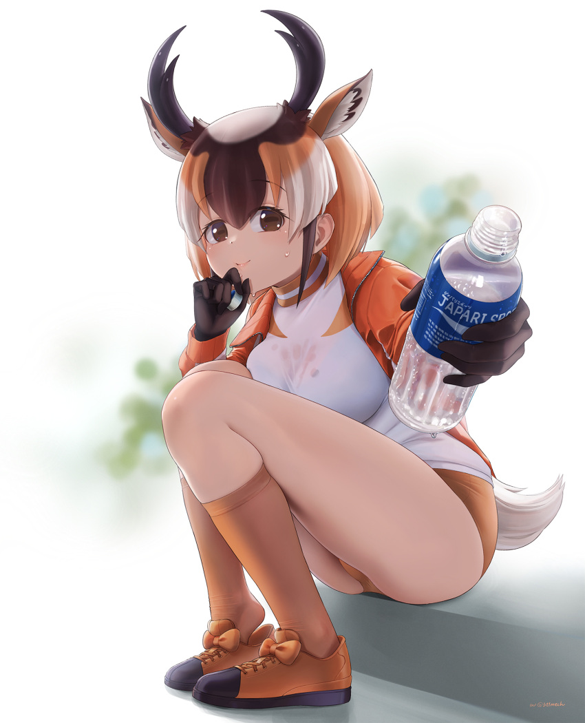 animal_ears antlers beleven blush bottle brown_buruma brown_eyes brown_footwear brown_gloves brown_hair brown_socks buruma extra_ears gloves hair_between_eyes highres horns jacket kemono_friends kemono_friends_3 long_sleeves looking_at_viewer multicolored_hair orange_hair orange_jacket pronghorn_(kemono_friends) shirt shoes sidelocks sitting smile sneakers socks sweatdrop t-shirt tail water_bottle white_hair white_shirt