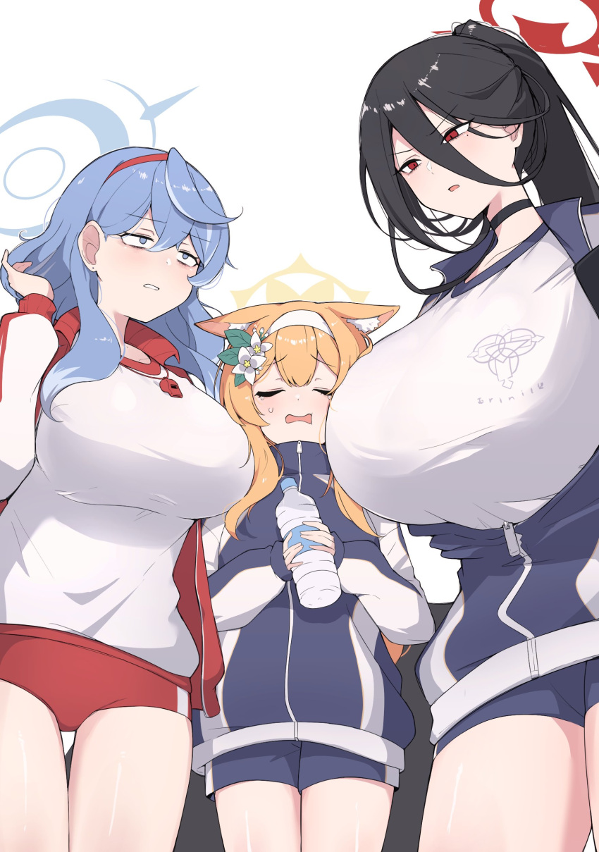 3girls absurdres ako_(track)_(blue_archive) animal_ear_fluff animal_ears black_hair black_jacket black_shorts blue_archive blue_eyes blue_hair bottle breasts buppa_man buruma cat_ears cat_girl commentary_request flower gym_shirt gym_shorts gym_uniform hair_between_eyes hair_flower hair_ornament hairband halo hasumi_(blue_archive) headband height_difference highres holding holding_bottle jacket large_breasts long_bangs long_hair long_sleeves looking_at_another mari_(blue_archive) mole mole_under_eye multicolored_clothes multicolored_jacket multiple_girls official_alternate_costume official_alternate_hairstyle open_clothes open_jacket orange_hair parted_lips person_between_breasts plastic_bottle ponytail red_buruma red_eyes red_jacket shirt short_shorts shorts sidelocks simple_background size_difference sweatdrop track_jacket two-tone_jacket water_bottle white_background white_shirt zipper