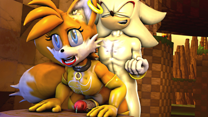 3d_(artwork) clothing digital_media_(artwork) girly hand_on_butt hedgehog humanoid lips male mammal miles_prower mostly_nude nude penis saygoodbye-sfm sex shadow_the_hedgehog sonic_(series) source_filmmaker video_games