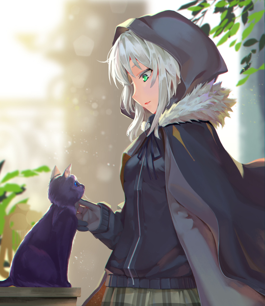 1girl absurdres animal bangs black_cat black_cloak black_jacket black_ribbon blue_eyes blurry breasts cat cloak commentary_request depth_of_field fate_(series) fur_collar gray_(lord_el-melloi_ii) green_eyes green_skirt highres hood hooded_cloak jacket leaf long_sleeves looking_down lord_el-melloi_ii_case_files parted_lips plaid plaid_skirt plant profile ribbon shi_qi_kuang_beng silver_hair skirt sleeves_past_wrists small_breasts solo table upper_body