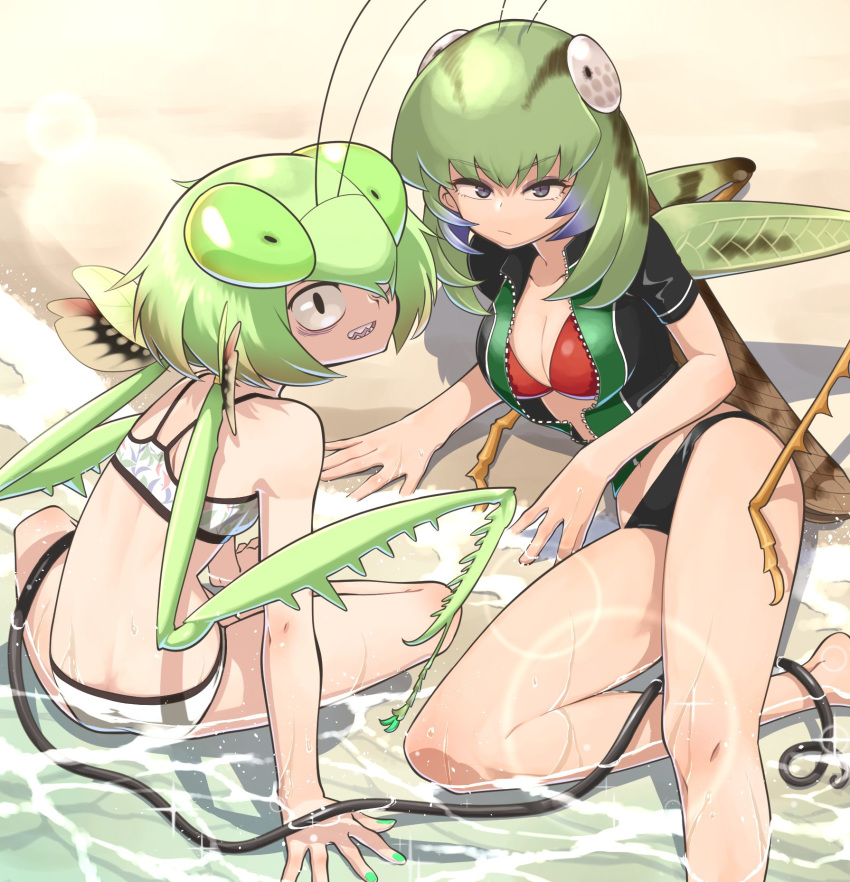 :/ antennae beach bikini black_bikini_bottom black_eyes blue_eyes breasts bug cleavage commentary evolvingmonkey eyebrows_visible_through_hair from_behind full_body grasshopper grasshopper_inoue green_hair green_nails highres indian_style insect insect_girl large_breasts looking_at_viewer looking_back lying mantis_akiyama multiple_girls nail_polish on_side open_mouth original parasite praying_mantis red_bikini_top sand sharp_teeth shirt sitting swimsuit swimwear teeth twintails unzipped water wet wet_clothes wetsuit worms