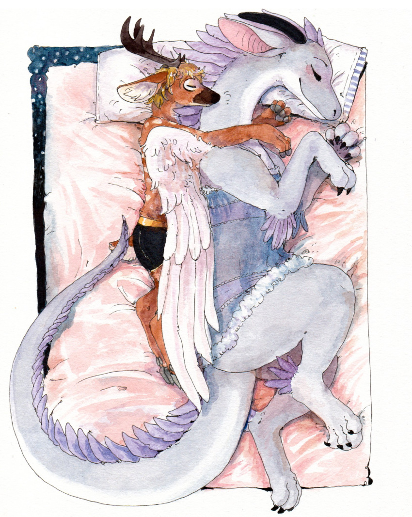 anthro antlers bed blue_eyes blush cervine chital claws clothing cloven_hooves deer-spangle dewclaws dragon feathered_wings feathers female feral hooved_fingers hooves horn hug lingerie male mammal poodlewool spooning spots underwear wings zephyr_(dragon)