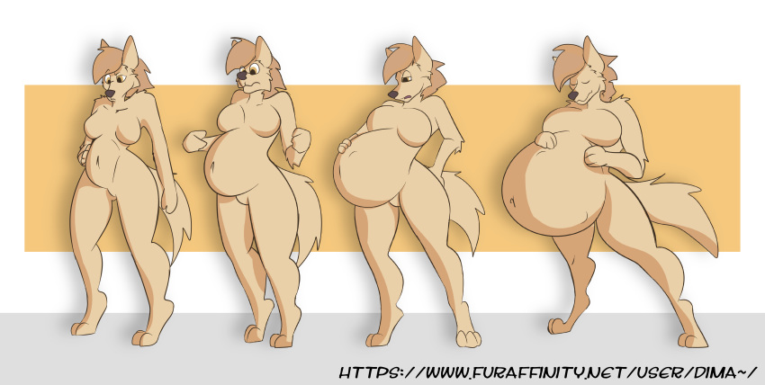 2018 anthro belly big_belly big_breasts breasts canine digital_media_(artwork) dima_(artist) female fur hair inflation mammal nude pregnant sequence simple_background solo standing surprise thick_thighs wolf