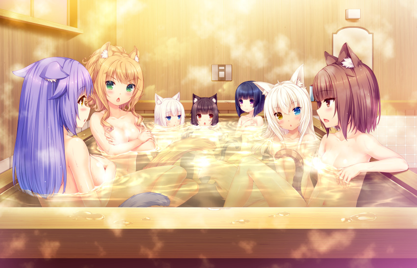 animal_ears azuki_(sayori) bangs bathing bathtub black_hair blonde_hair blue_eyes blunt_bangs blush breasts brown_eyes brown_hair cat_ears cat_tail chestnut_mouth chocola_(sayori) cinnamon_(sayori) coconut_(sayori) collarbone convenient_censoring crossed_arms eyebrows_visible_through_hair game_cg green_eyes hair_between_eyes heterochromia highres indoors maple_(sayori) medium_breasts minazuki_shigure multiple_girls nekopara nude open_mouth partially_submerged purple_hair red_eyes sayori shared_bathing shiny shiny_hair short_hair silver_hair slit_pupils small_breasts steam steam_censor tail vanilla_(sayori) water yellow_eyes younger